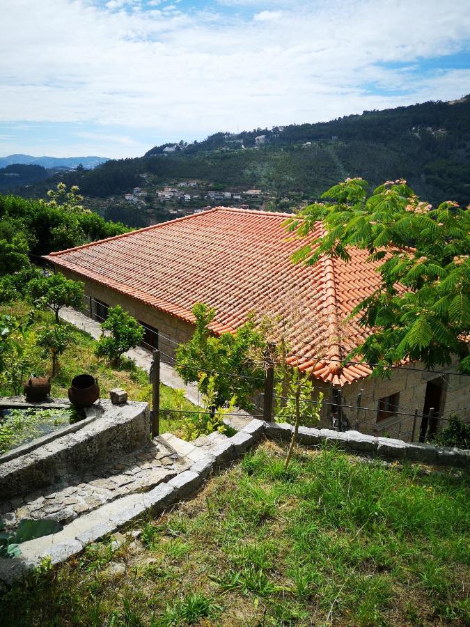 Hébergement de vacances Encosta Do Douro - Rio Douro Cinfães